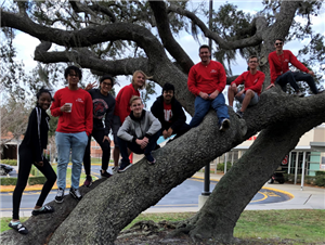 kids on a tree 
